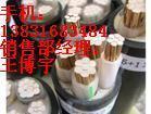 船用網(wǎng)絡(luò)雙電線電纜_船用網(wǎng)絡(luò)雙電線電纜供貨商_供應(yīng)船用網(wǎng)絡(luò)雙屏蔽電線電纜/廠家銷售_船用網(wǎng)絡(luò)雙電線電纜價格_江蘇紅旗電纜制造